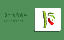 国外支付网站,国外支付网站有哪些