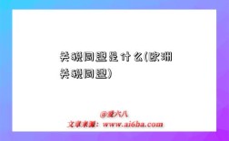 关税同盟是什么(欧洲关税同盟)