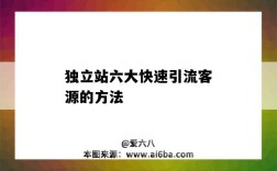 独立站六大快速引流客源的方法（如何组织进站客流）