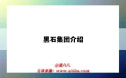 黑石集团介绍（黑石集团简介）