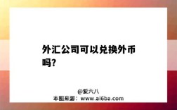 外汇公司可以兑换外币吗？