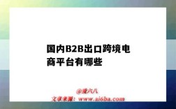 国内B2B出口跨境电商平台有哪些（中国最大的B2B跨境电商出口平台）