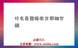 什么是国际收支详细介绍