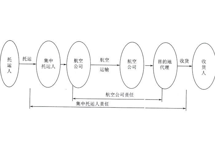 外贸运输方式之集中托运-图1