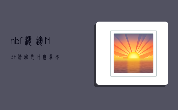 nbf海运,NBF海运是什么意思-图1