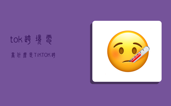 tok跨境电商,什么是TiKTOK跨境电商-图1