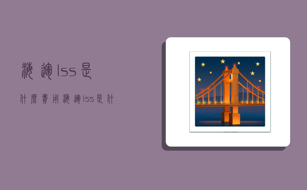 海运lss是什么费用,海运lss是什么费用计算公式-图1