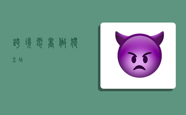 跨境电商做独立站,-图1