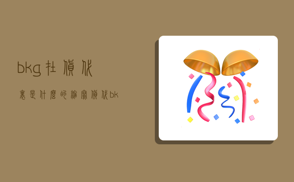 bkg在货代里是什么的缩写,货代bk是什么意思-图1