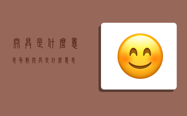 开具是什么意思,负数开具是什么意思-图1