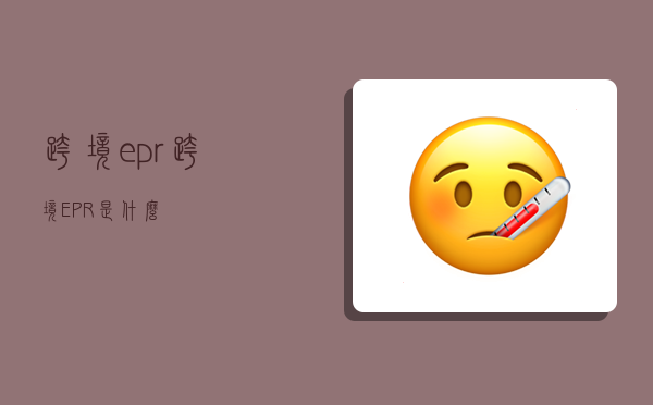 跨境epr,跨境EPR是什么-图1