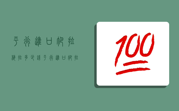 平行进口帕拉梅拉多少钱,平行进口帕拉梅拉多少钱最低-图1