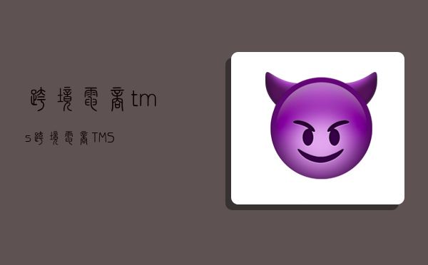 跨境电商tms,跨境电商TMS-图1