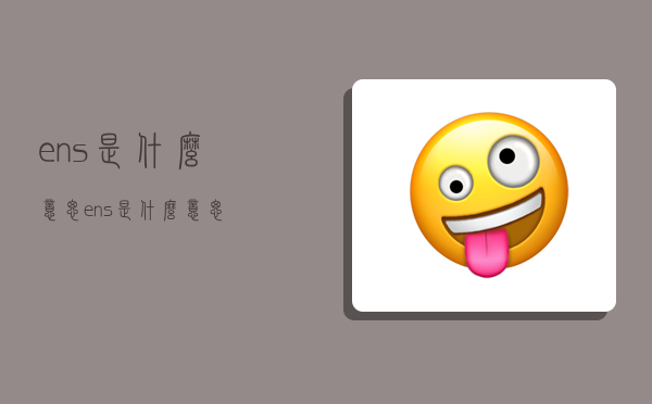 ens是什么意思,ens是什么意思?-图1