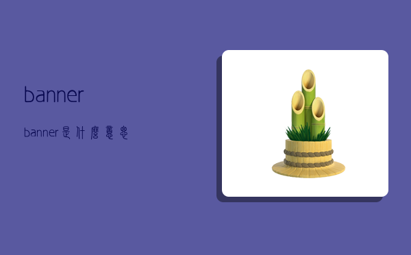 banner,banner是什么意思-图1