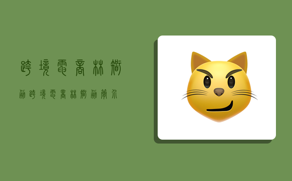 跨境电商林智勇,跨境电商林智勇简介-图1
