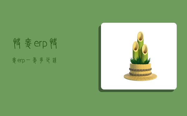 快麦erp,快麦erp一年多少钱-图1