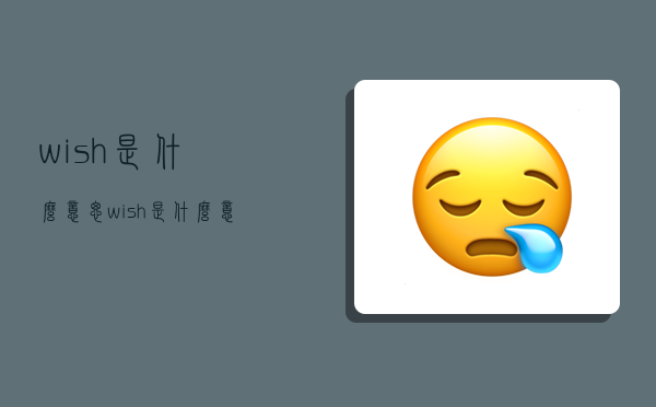 wish是什么意思,wish是什么意思?-图1