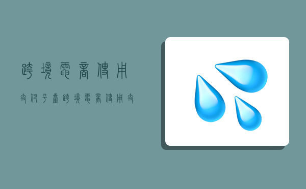 跨境电商使用支付平台,跨境电商使用支付平台有哪些-图1