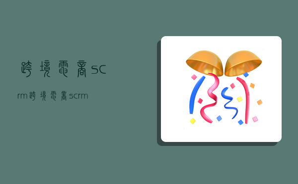 跨境电商 scrm,跨境电商scrm-图1