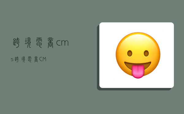 跨境电商cms,跨境电商CM-图1