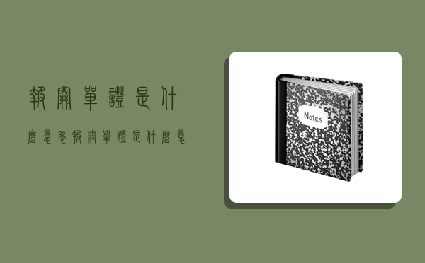 报关单证是什么意思,报关单证是什么意思?-图1