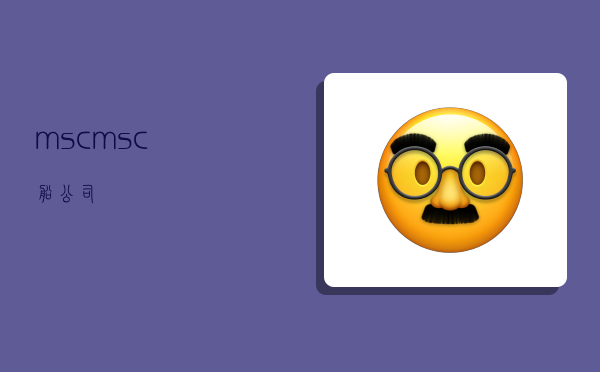 msc,msc船公司-图1