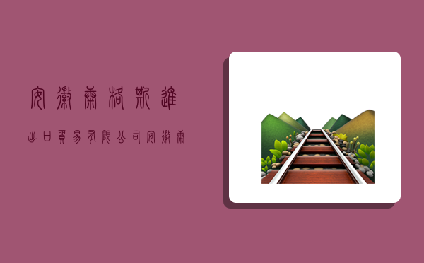 安徽康格斯进出口贸易有限公司,安徽康格斯进出口贸易有限公司怎么样-图1