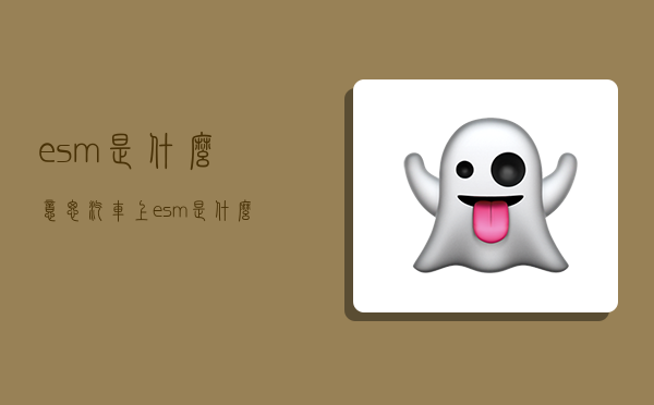 esm是什么意思,汽车上esm是什么意思-图1