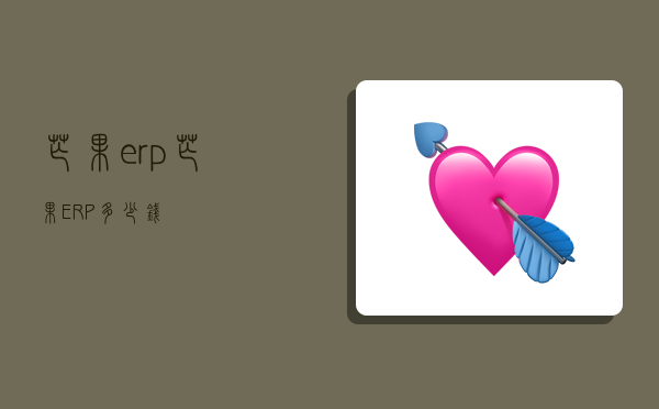 芒果erp,芒果ERP多少钱-图1