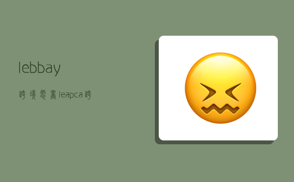 lebbay跨境电商,leapca跨境运营-图1