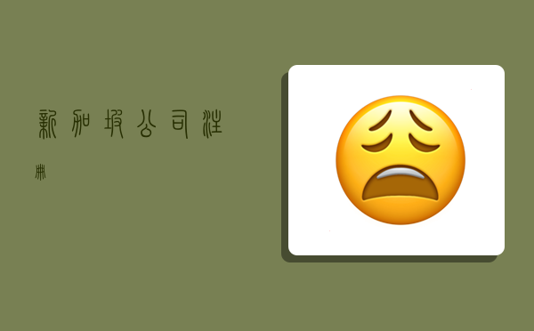 新加坡公司注册,-图1