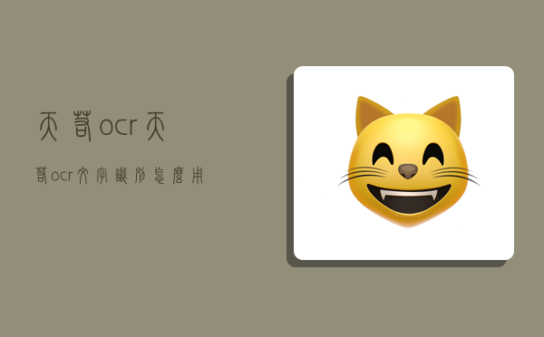 天若ocr,天若ocr文字识别怎么用-图1