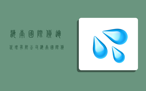 海南国际货运代理有限公司,海南国际货运代理有限公司有哪些-图1