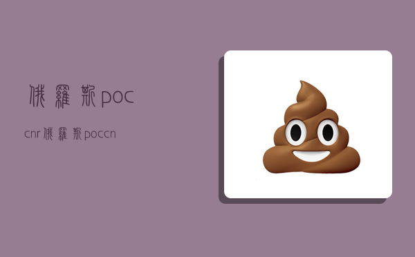 俄罗斯poccnr,俄罗斯poccnr手表-图1