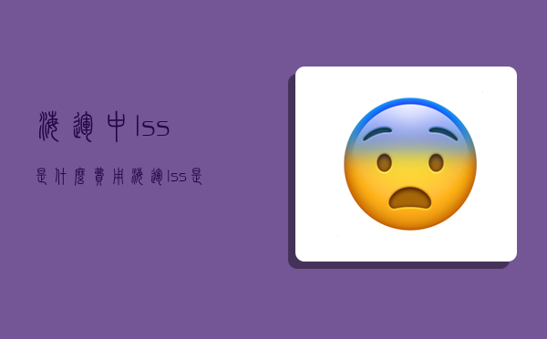 海运中lss是什么费用,海运lss是什么费用计算公式-图1