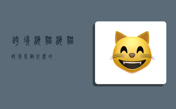 跨境海猫,海猫跨境是做什么的-图1