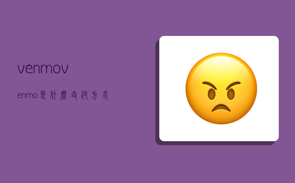 venmo,venmo是什么支付方式-图1