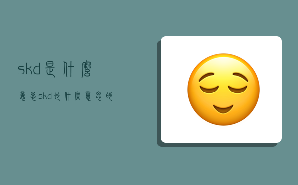 skd是什么意思,skd是什么意思的缩写-图1