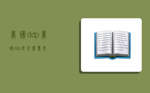 美国 ddp,美国ddp是什么意思-图1