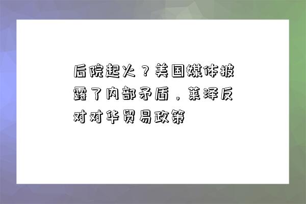 后院起火？美国媒体披露了内部矛盾，莱泽反对对华贸易政策-图1