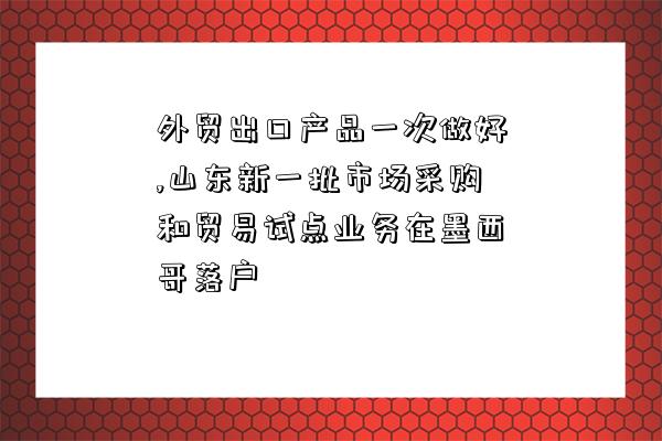 外贸出口产品一次做好,山东新一批市场采购和贸易试点业务在墨西哥落户-图1