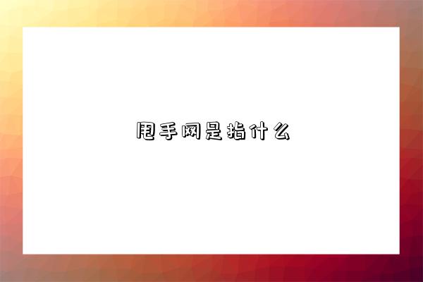 甩手网是指什么-图1