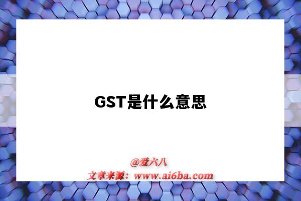 GST是什么意思（服装gst是什么意思）-图1