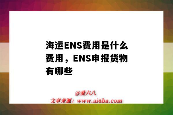 海运ENS费用是什么费用，ENS申报货物有哪些（海运ENS是什么费用）-图1