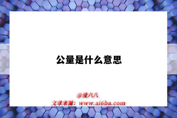 公量是什么意思（什么叫“公量”?）-图1