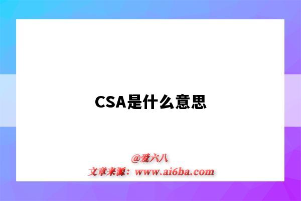 CSA是什么意思（电子厂csa是什么意思）-图1