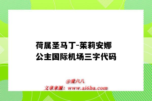 荷属圣马丁-茱莉安娜公主国际机场三字代码（朱莉安娜公主国际机场四字代码）-图1