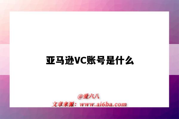 亚马逊VC账号是什么（亚马逊vc账号是什么意思）-图1