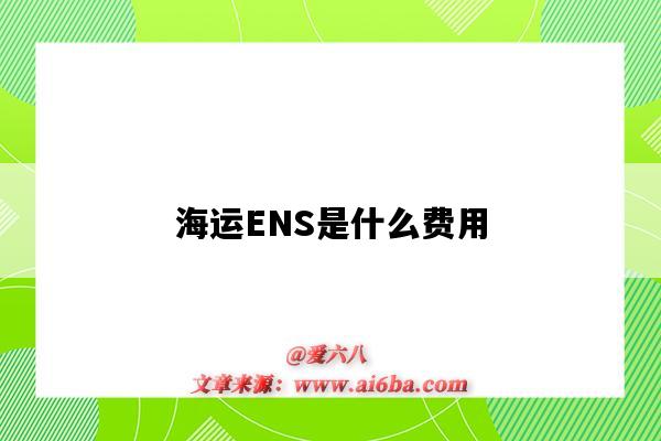 海运ENS是什么费用（海运中ens是什么费用）-图1